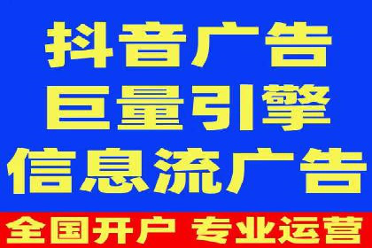 成功运用SEM技术提升网站流量的案例研究